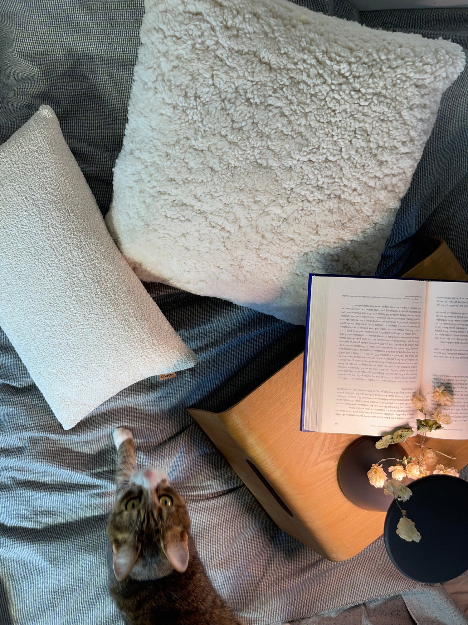 Cushions